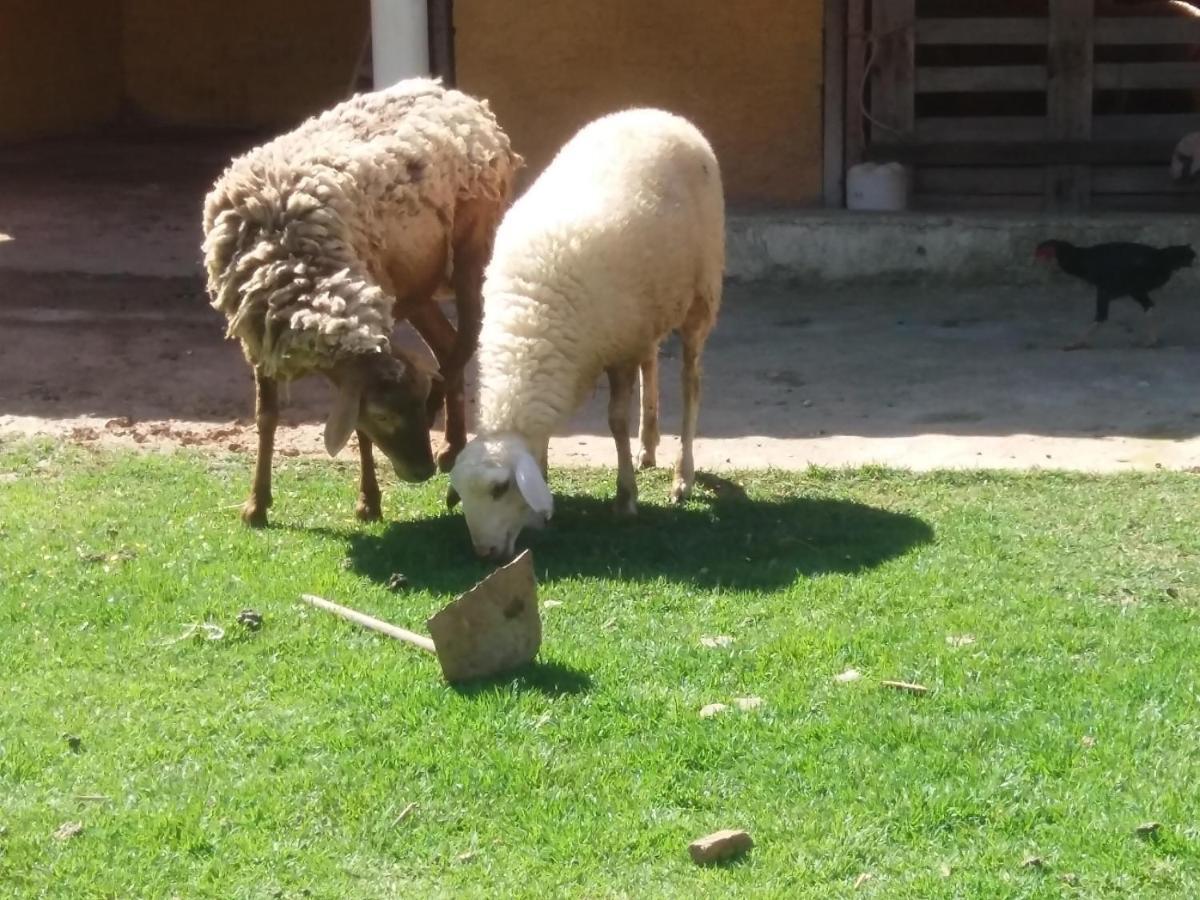 Molise Hotel Fazenda Serra Negra Kültér fotó